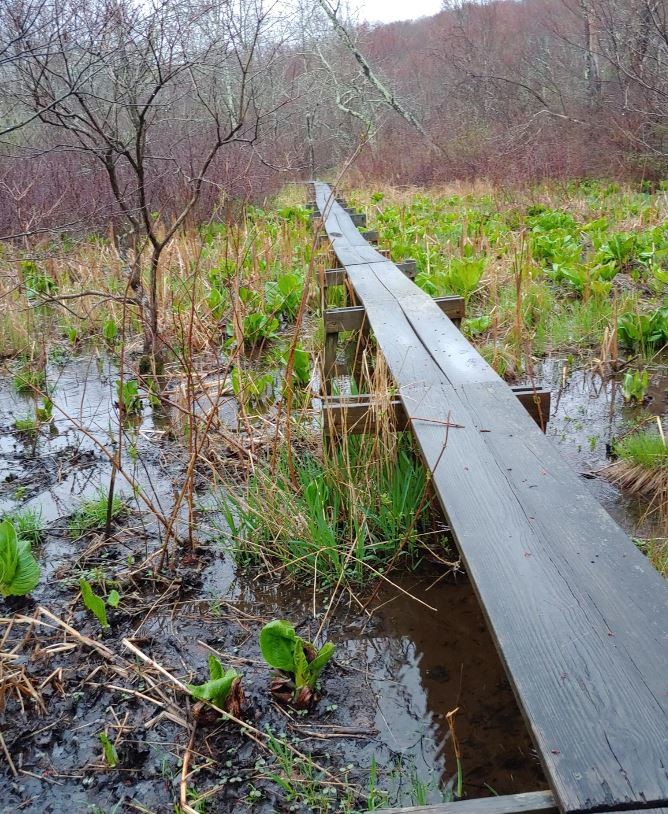 Woodbridge Greenway Loop (CT) Fastest Known Time